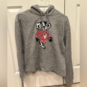 Wisconsin Hoodie